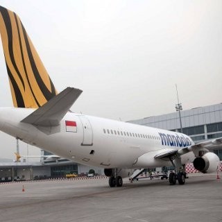 Maskapai Penerbangan Berguguran, Wamenkeu: Bukan Hanya di RI