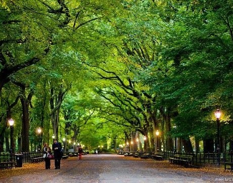 10 Taman Terbaik di Dunia (1)