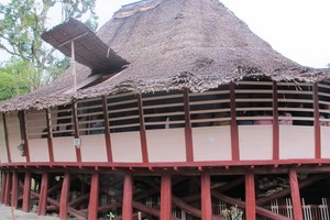Rumah Adat di Nias Fantastis, Museumnya Pun Bagus Sekali