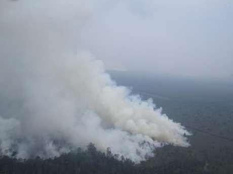 Dari Pantauan Satelit, 80 Titik Panas Kembali Muncul di Riau
