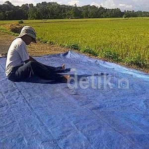 Negara-negara Maju Tidak Ingin Indonesia Swasembada Pangan