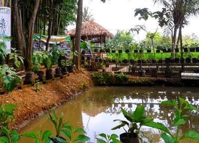 Menikmati Kuliner Sehat Di Kampung Organik Bondowoso Menikmati Kuliner Sehat Di Kampung Organik Bondowoso