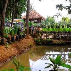 Menikmati Kuliner Sehat di Kampung Organik Bondowoso
