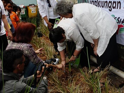 Relawan Jokowi-JK Tanam Vetiver