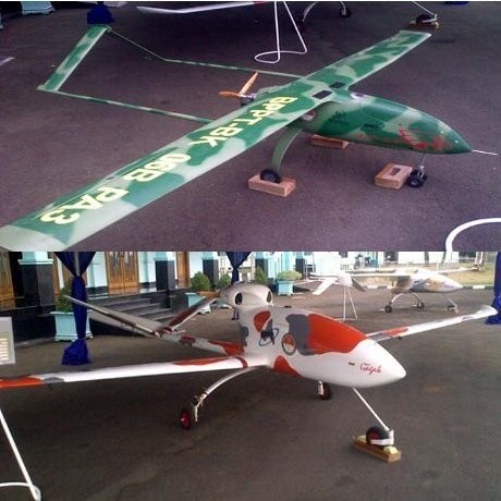 Drone, Pesawat Nirawak Serbaguna yang Disinggung Jokowi