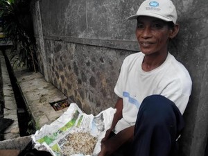 Pak Royani Si Pemburu Kroto dari Jakarta Selatan