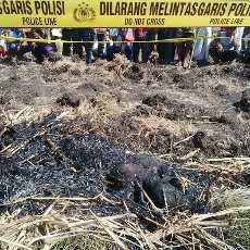 Sesosok Mayat Pria Dibakar Ditemukan di Lahan Tebu Probolinggo