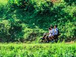 1 Motor 3 Anak SMP