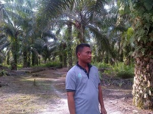 Awal Jadi Transmigran Diolok-olok, Pria Ini Jadi Juragan Sawit Berpenghasilan Rp 20 Juta/Bulan
