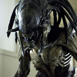 Film Terbaru Predator Bukan Reboot