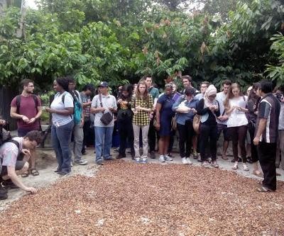 Asyiknya Berwisata di Kampung Coklat