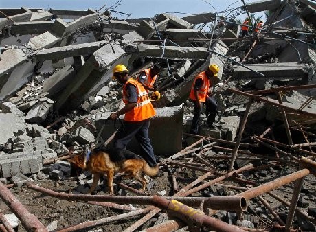 Gedung 11 Lantai Ambruk di India, 11 Orang Tewas