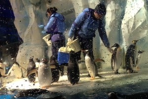 Makan Siang Ditemani Penguin, Menggemaskan!