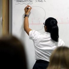 Kirim WhatsApp Mesum, Guru Wanita Dilarang Mengajar Seumur Hidup