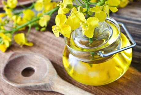 Tambahkan Canola Oil di Menu Harian Bantu Turunkan Kadar Gula Darah