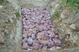 Di 2014 Penyelundupan Melonjak 200%, Darurat Daging Celeng?