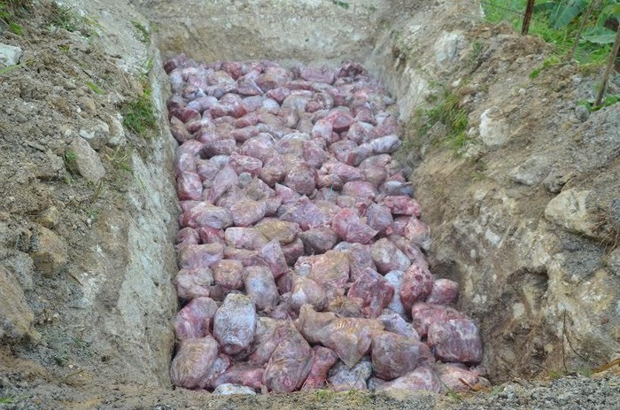 Di 2014 Penyelundupan Melonjak 200%, Darurat Daging Celeng?