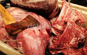 Di Ragunan, Daging Celeng untuk Santapan Harimau Sumatera