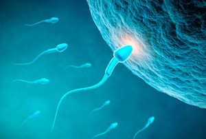 Teknik Pembekuan Sperma Beri Peluang Penyandang Kanker untuk Punya Anak