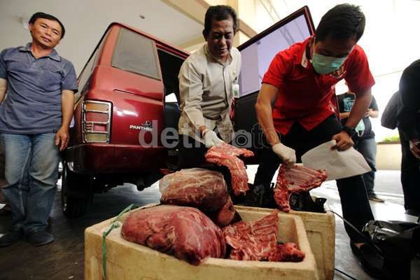 Darurat Penyelundupan Daging Celeng dari Sumatera ke Jawa