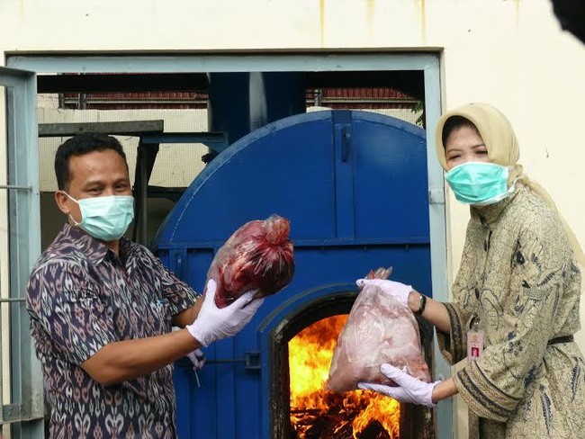 Darurat Penyelundupan Daging Celeng dari Sumatera ke Jawa