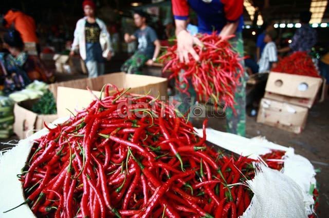Ini yang Harus Dilakukan Pemerintah Agar Industri Olahan Cabai Berkembang