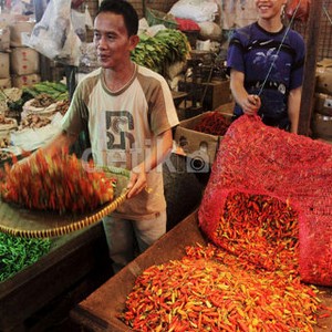 Ini yang Harus Dilakukan Pemerintah Agar Industri Olahan Cabai Berkembang