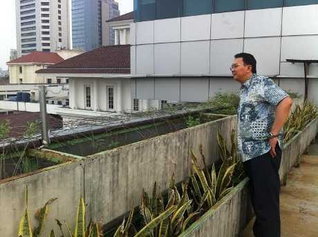Ahok: Kita Mau Pecatin Oknum Pejabat yang Terbukti Bermain di Rusun