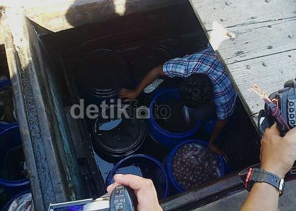 Modus Maling Ikan, dari Izin Palsu Hingga Pakai 2 Bendera