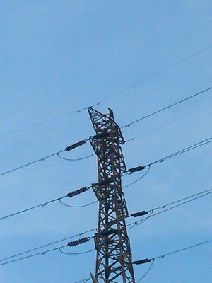 Warga Nyoblos di TPS, Pria ini Malah Panjat Tower SUTET di Senen