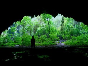 Gua Jomblang, Cahaya Surga dan Hutan Purba