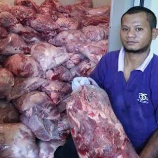 Darurat Daging Celeng, Mahasiswa Kedokteran Dikerahkan Bersama Karantina
