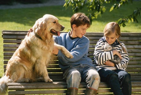 Anjing atau Kucing, Hewan Peliharaan Favorit Bisa Gambarkan Sifat Majikan