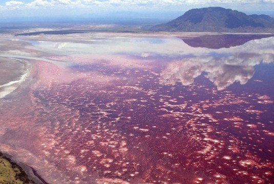 Kakaban dan 7 Danau Paling Aneh di Dunia (2)