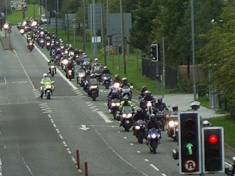 Pemotor Itu Spesies yang Terancam Punah