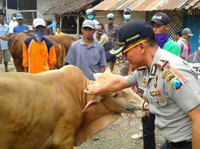 Antisipasi Daging Gelonggongan, Polres Bondowoso Sidak Pasar Hewan