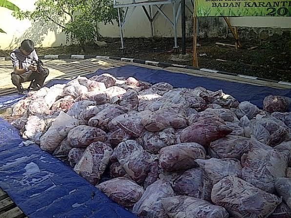 Bau Menyengat Hinggapi Proses Pemusnahan Daging Celeng di Cilegon