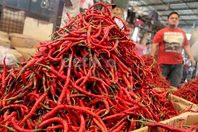 Harga Cabai Anjlok, Gubernur Jambi: Sangat Menyentuh Hati Saya