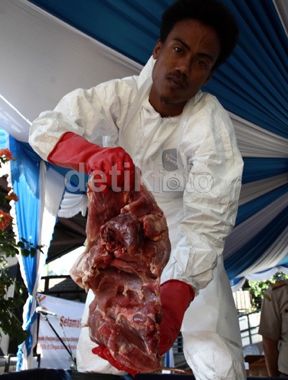 Kasus Penyelundupan Daging Celeng 2013 Berakhir Tanpa Hukuman