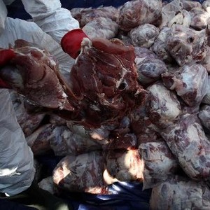 Mentan Suswono Berencana Sebar Info Cara Bedakan Daging Celeng dan Sapi