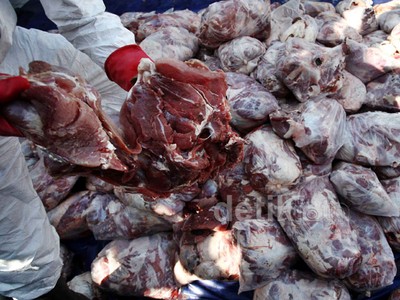 7,4 Ton Daging Celeng Dimusnahkan