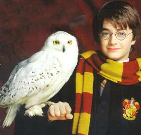 5500 Hantu Harry Potter HD Terbaik