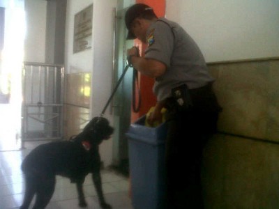 Anjing Pelacak Dikerahkan Amankan Angkutan Lebaran di Stasiun