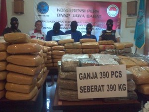 BNNP Jabar Amankan 590 Kilogram Ganja Kering di Dua Tempat