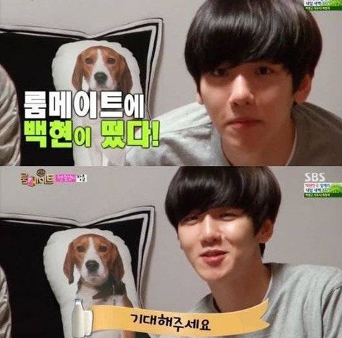 Mengintip Penampilan Baekhyun EXO di Roommate Minggu Ini