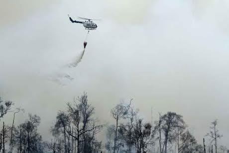 Pekanbaru Kembali Diselimuti Asap Imbas Kebakaran Hutan