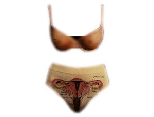 Bra dan Underwear Dengan Desain Organ Intim Wanita