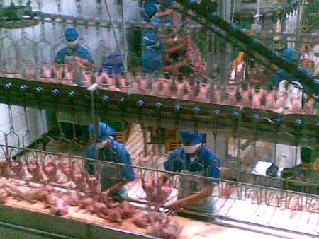 Heboh Daging Busuk Resto Cepat Saji Tiongkok, Masyarakat Tak Perlu Panik