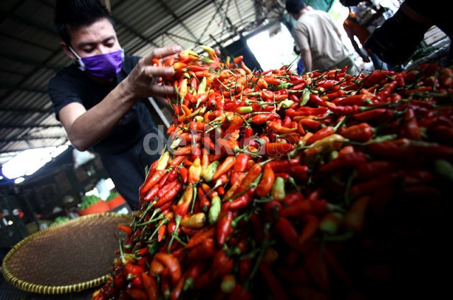 CT Berdoa Harga Cabai di Petani Minimal Rp 8.000 per Kg