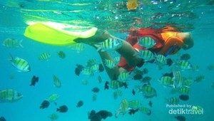 Berenang di Pulau Rubiah, Bikin Lupa Daratan!